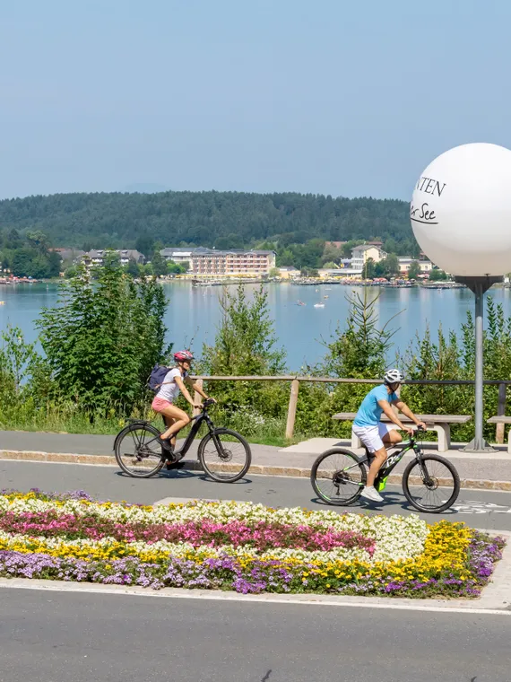 Excursions & Sightseeing